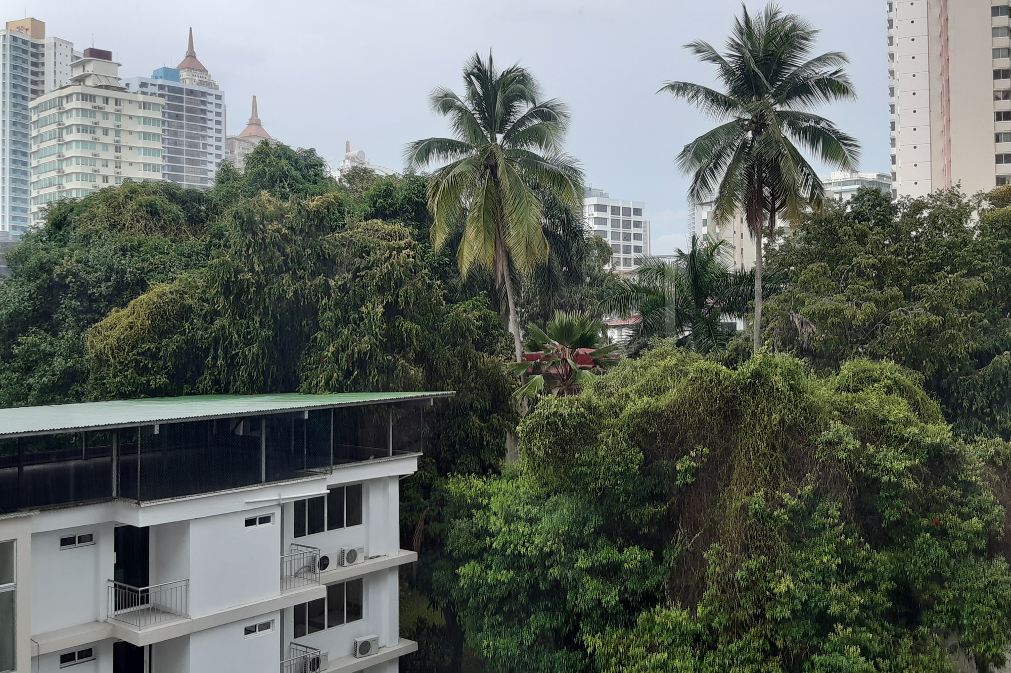 вид из окна спальни